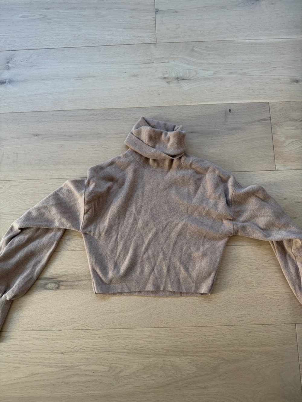 Aritiza cropped turtle neck